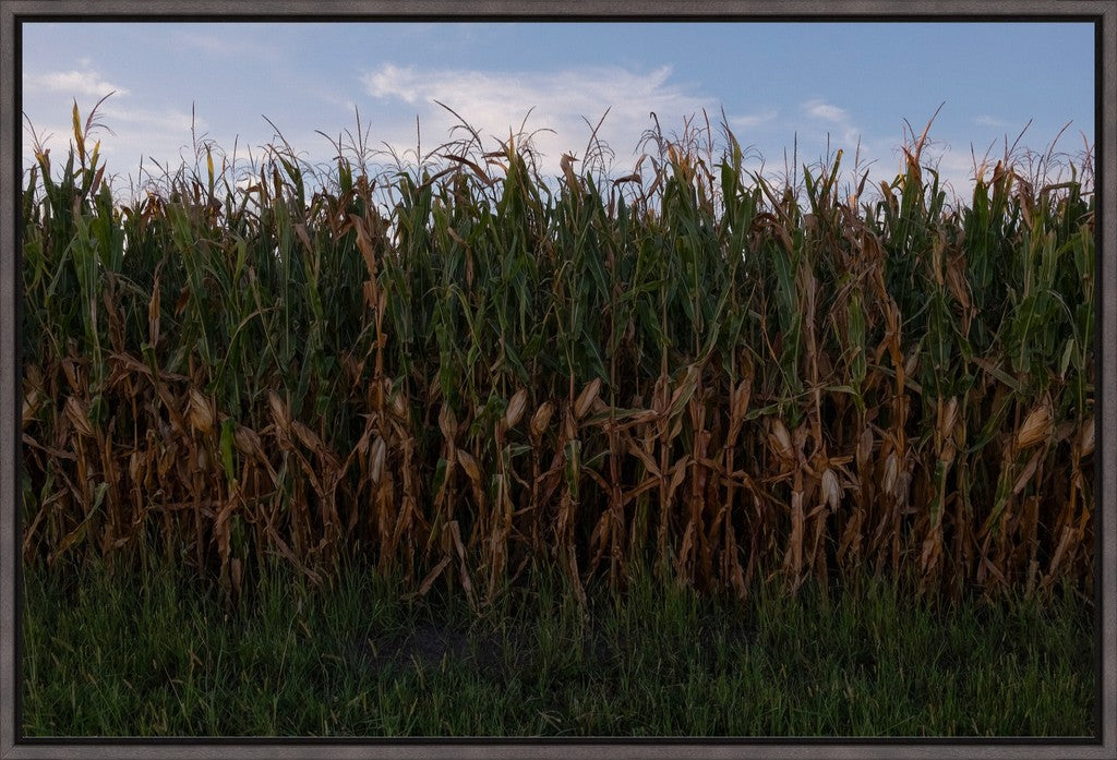 Land of the Tall Corn I