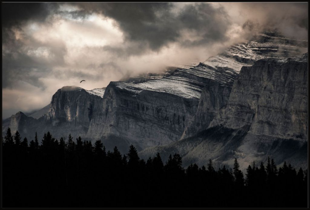 Mountain Flight