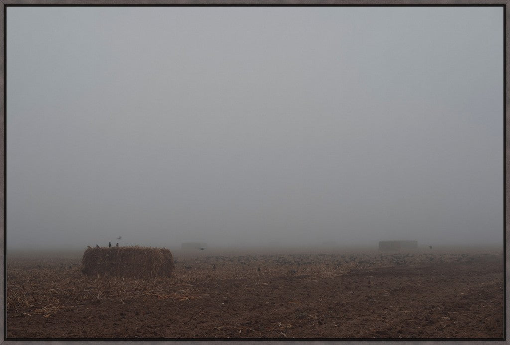West Texas Winter Fog - 5