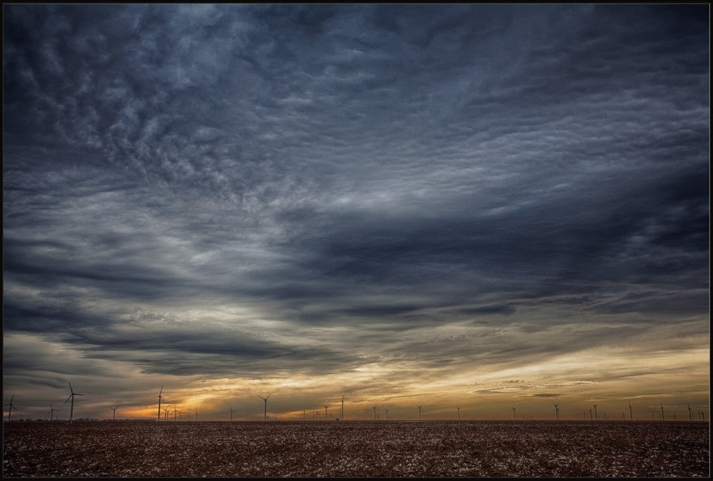West Texas Cotton and Windmills