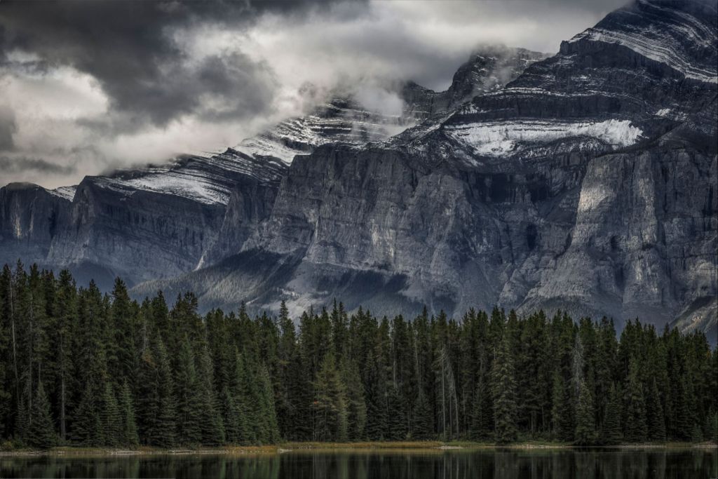 Green Forest and Mountain