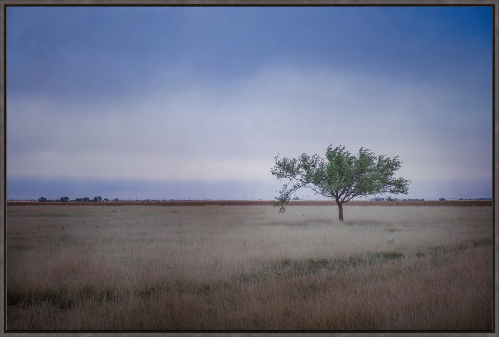 Solitary Tree in Blue