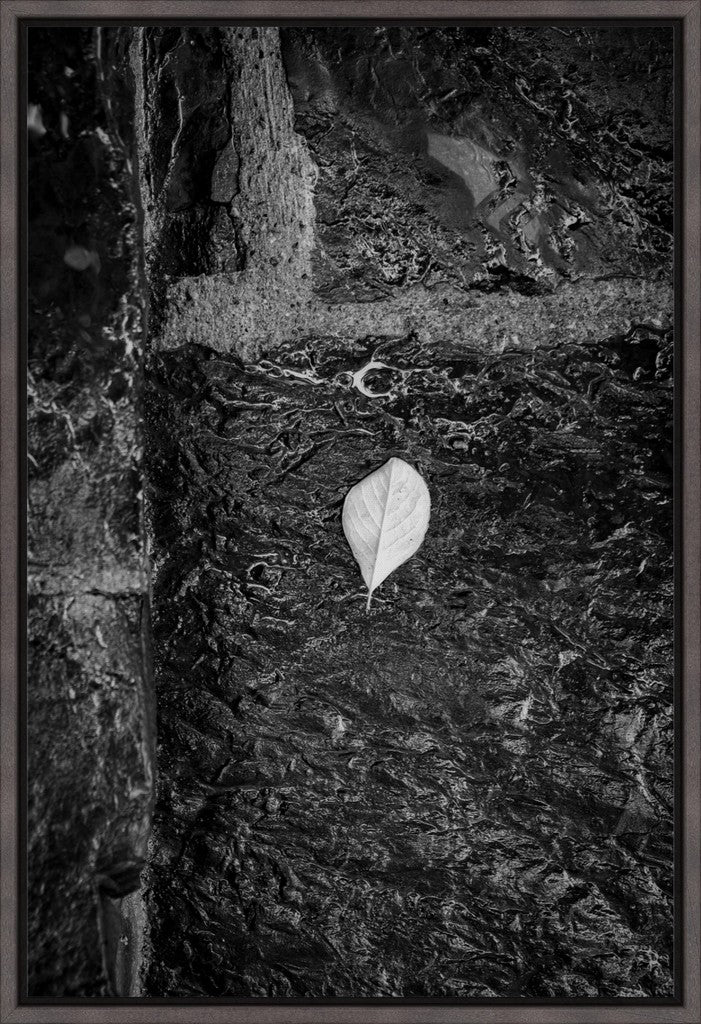 Leaf on Stone B/W