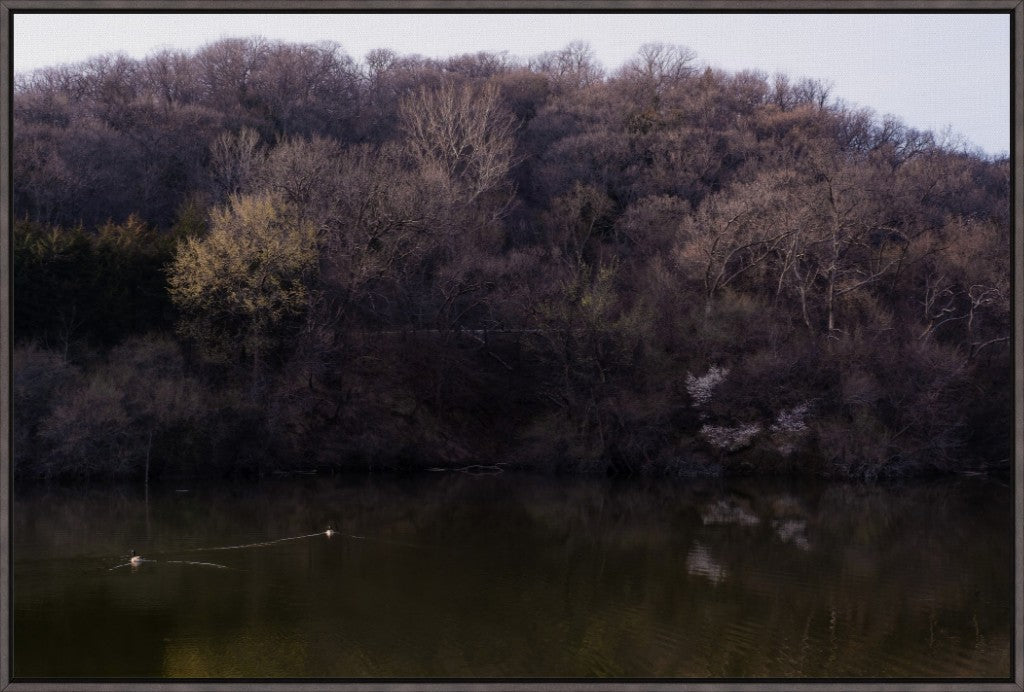 Dogwood Reflections I