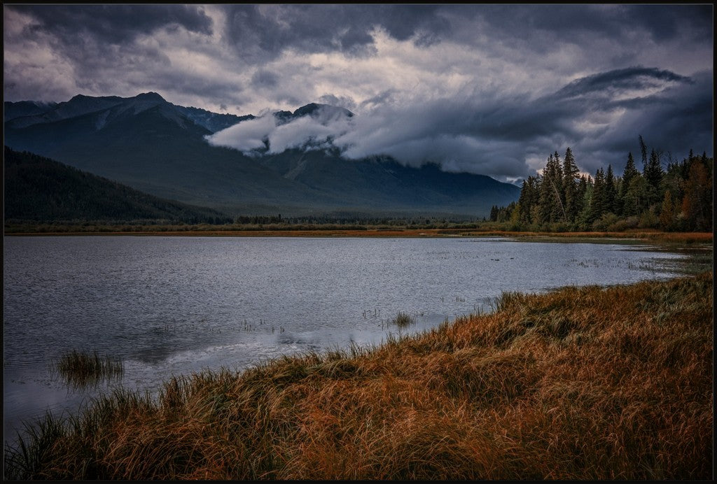 Alberta Wilderness Scene