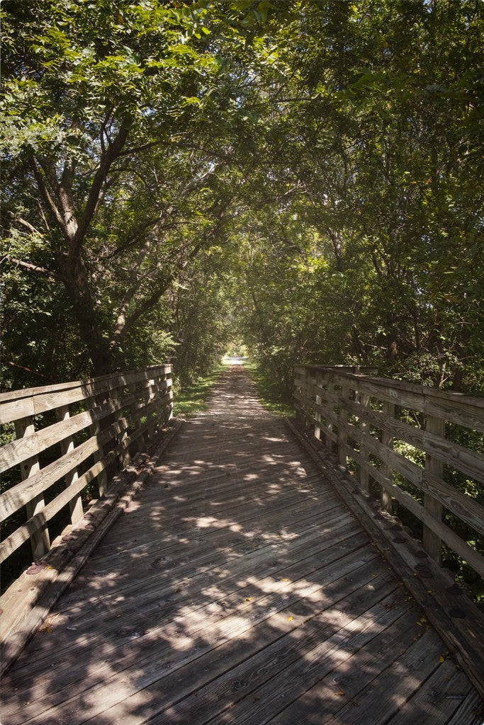 Rural Bike Path II