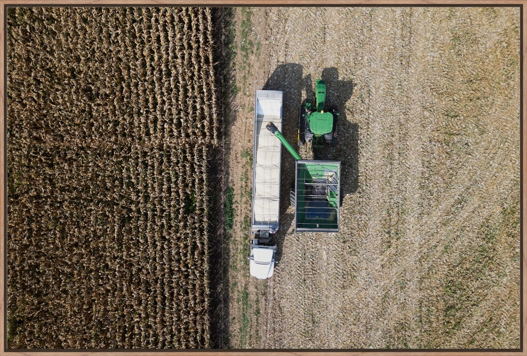 Aerial Corn Harvest IV