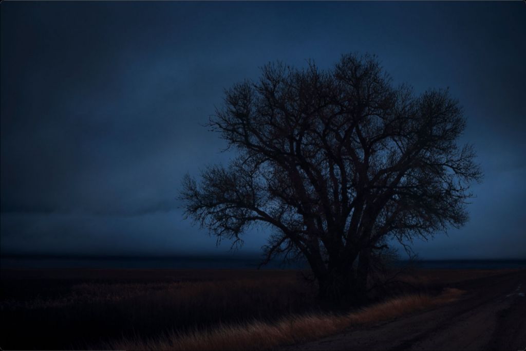 Rural Evening