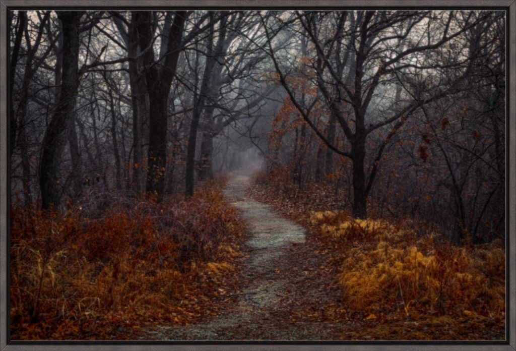 Misty Fall Path