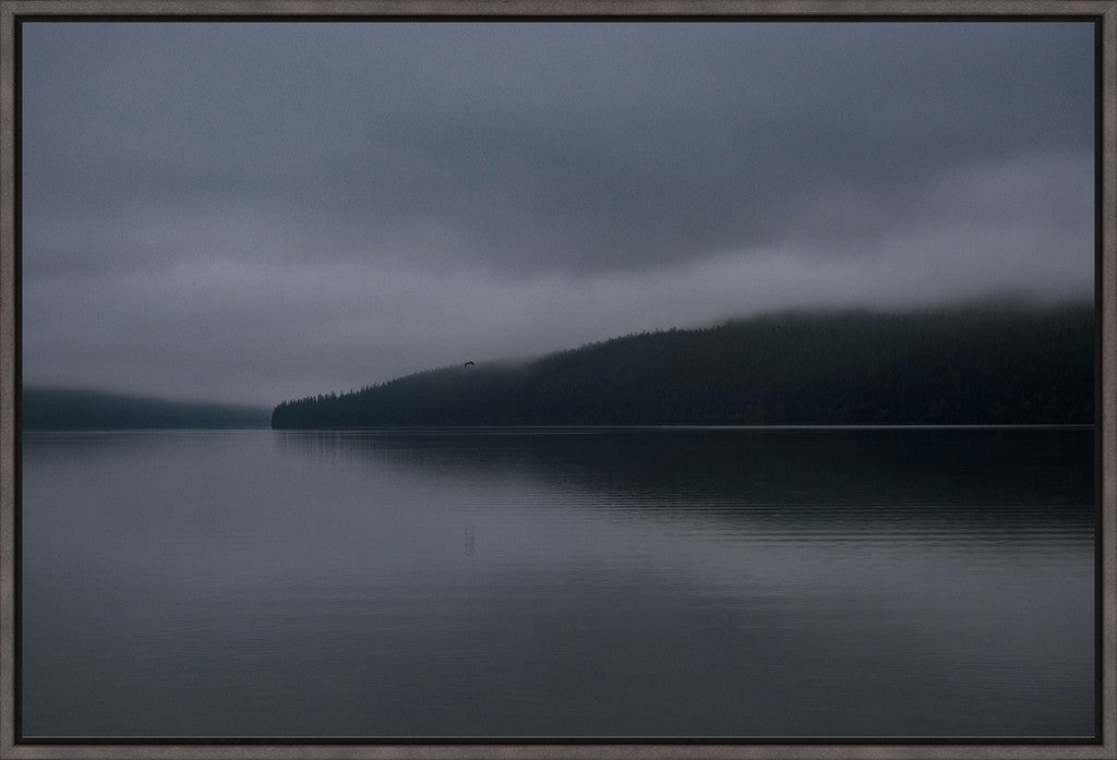 Dark Waters + Bird in Flight