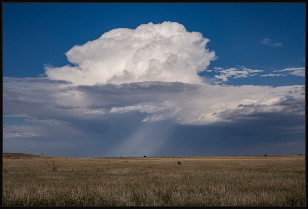 Rain on the South Plains