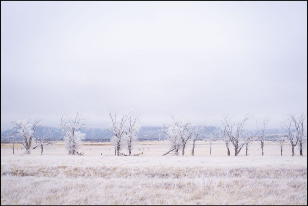 Frozen Enchantment III
