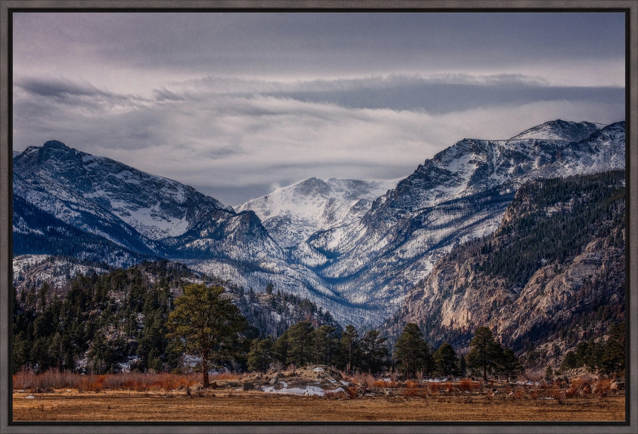 Front Range Winterscape