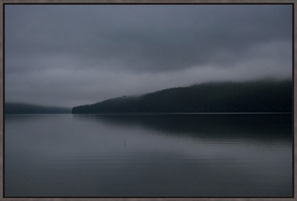 Dark Waters + Bird in Flight