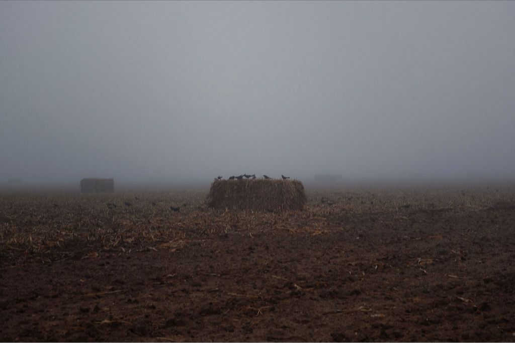 West Texas Winter Fog - 7