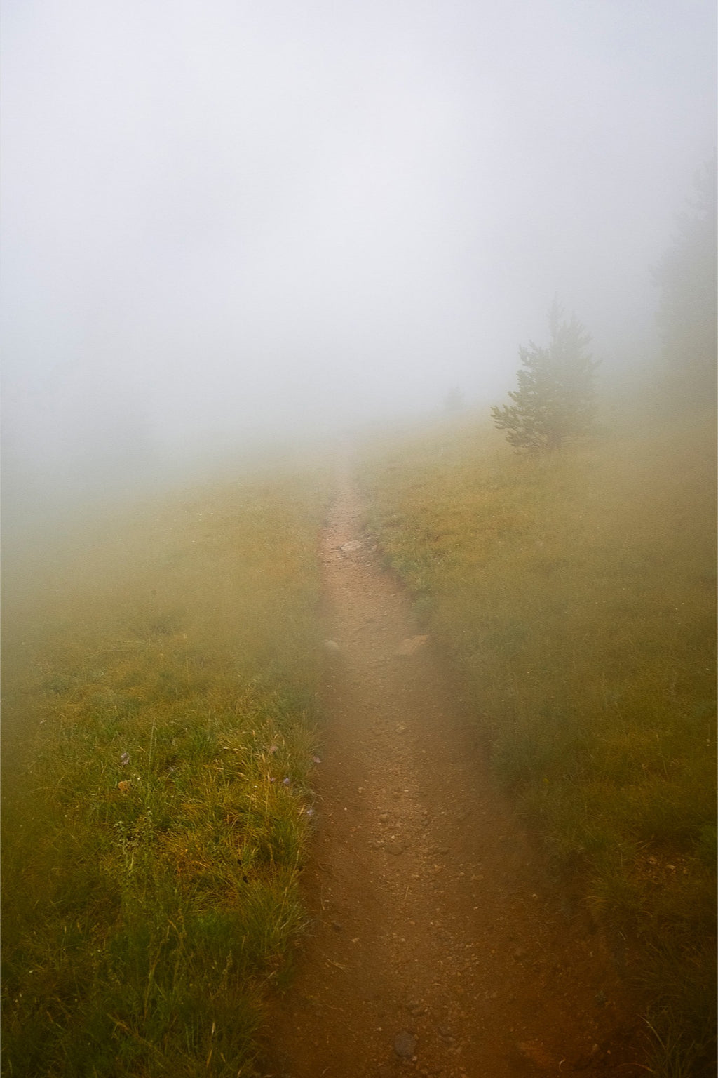 Late August Fog
