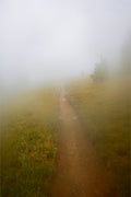 Late August Fog