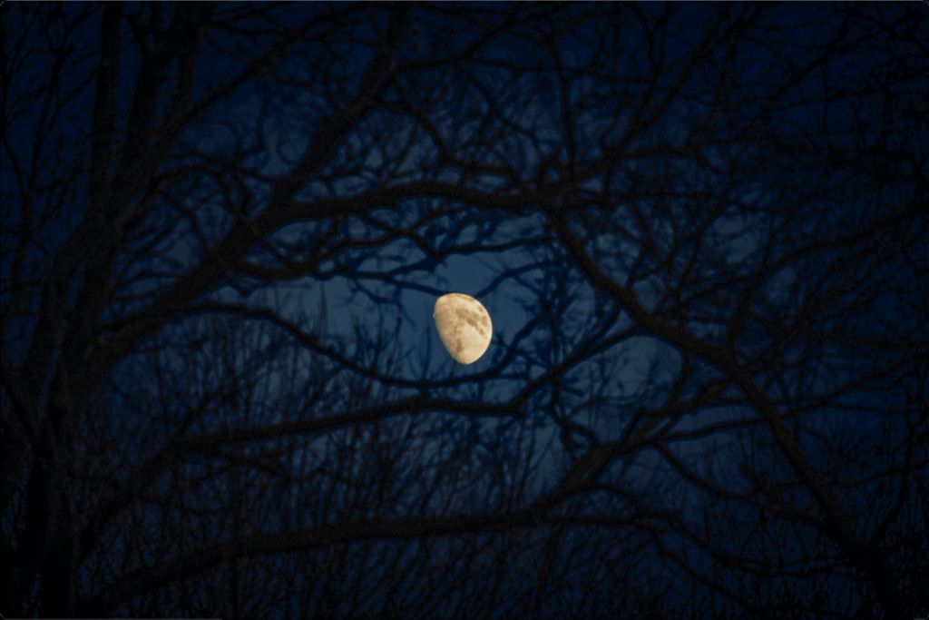 Waxing Gibbous