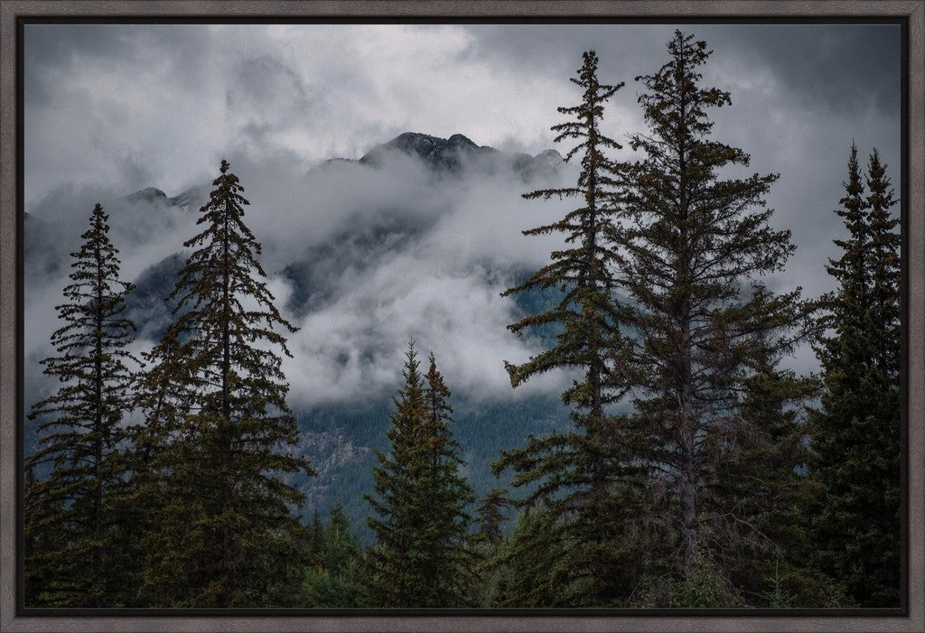 Banff Mountain View