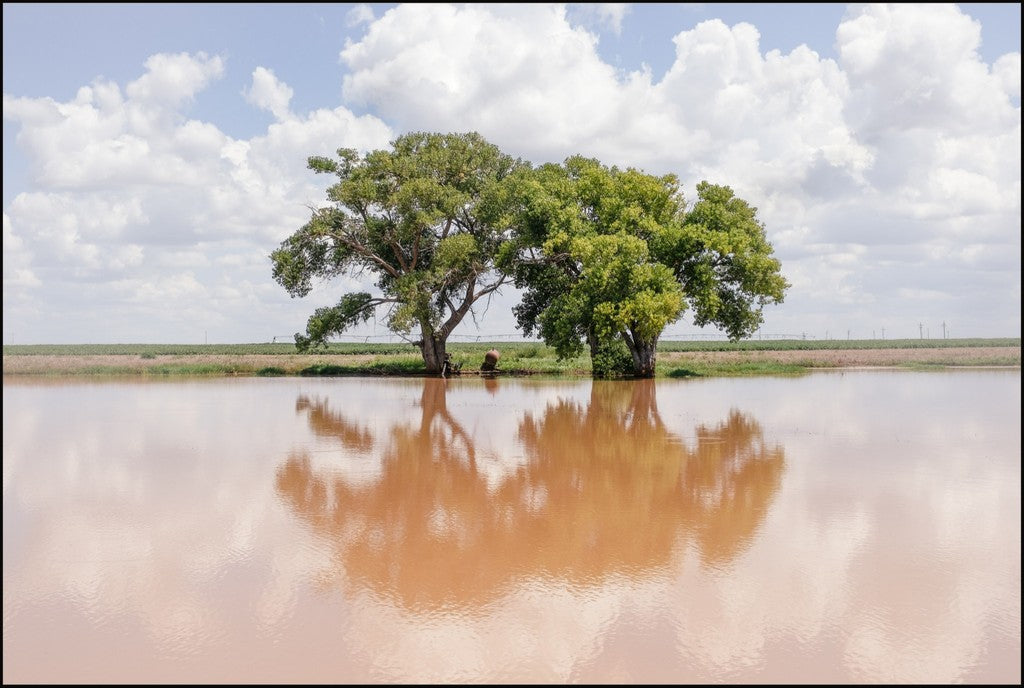 Soft Reflections