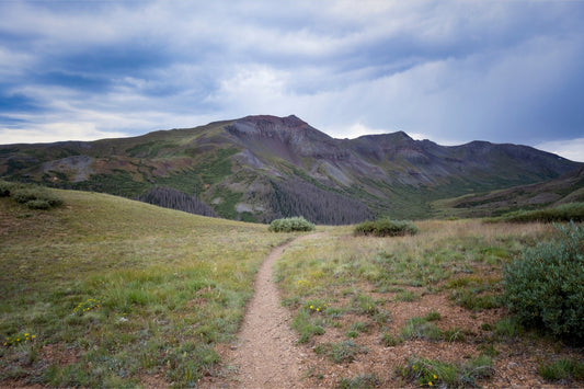 Into the San Juans
