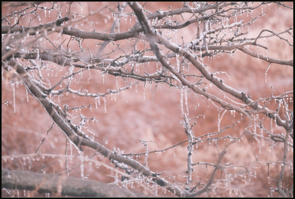 Midwest Winter Freeze