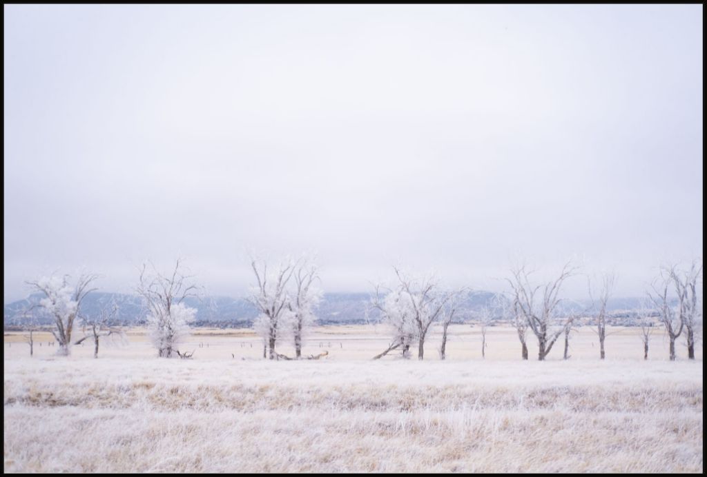 Frozen Enchantment III