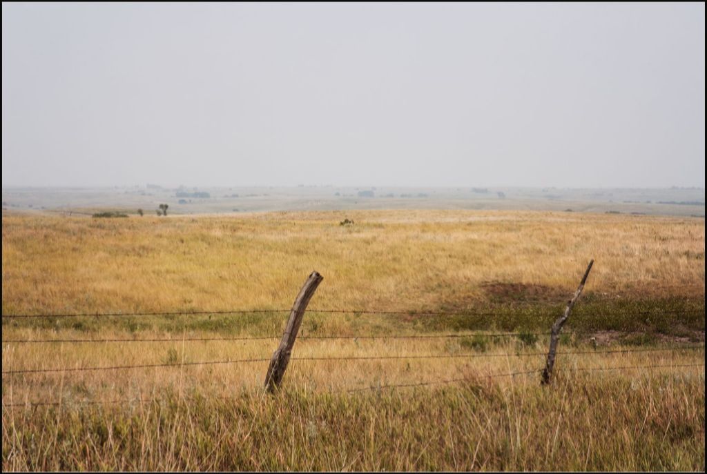 Southern Great Plains Grassland