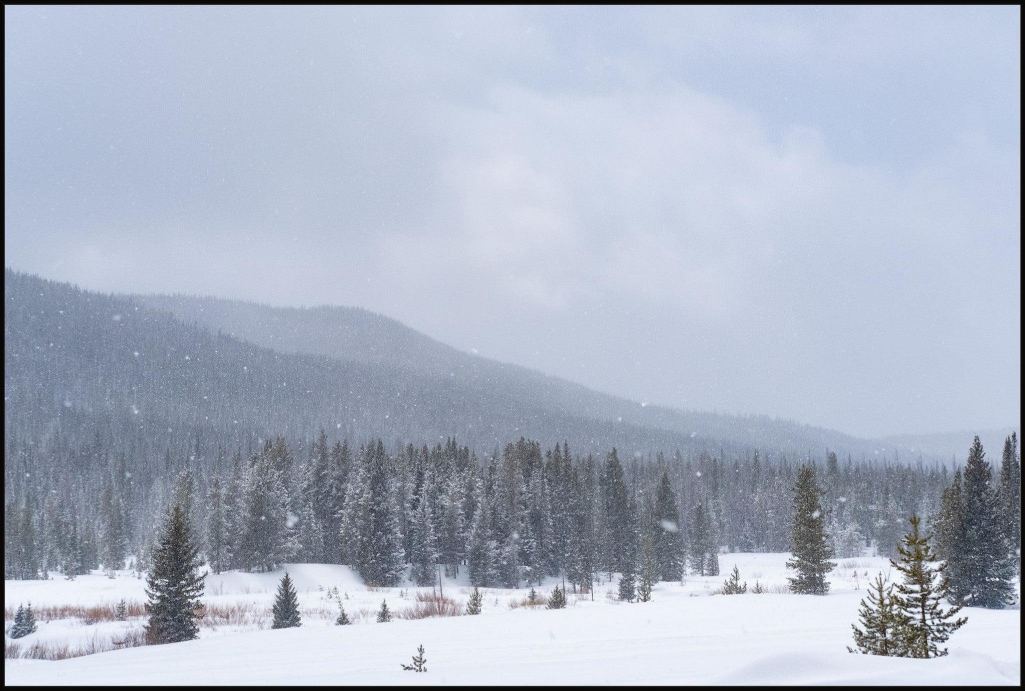 Late Winter Snowfall