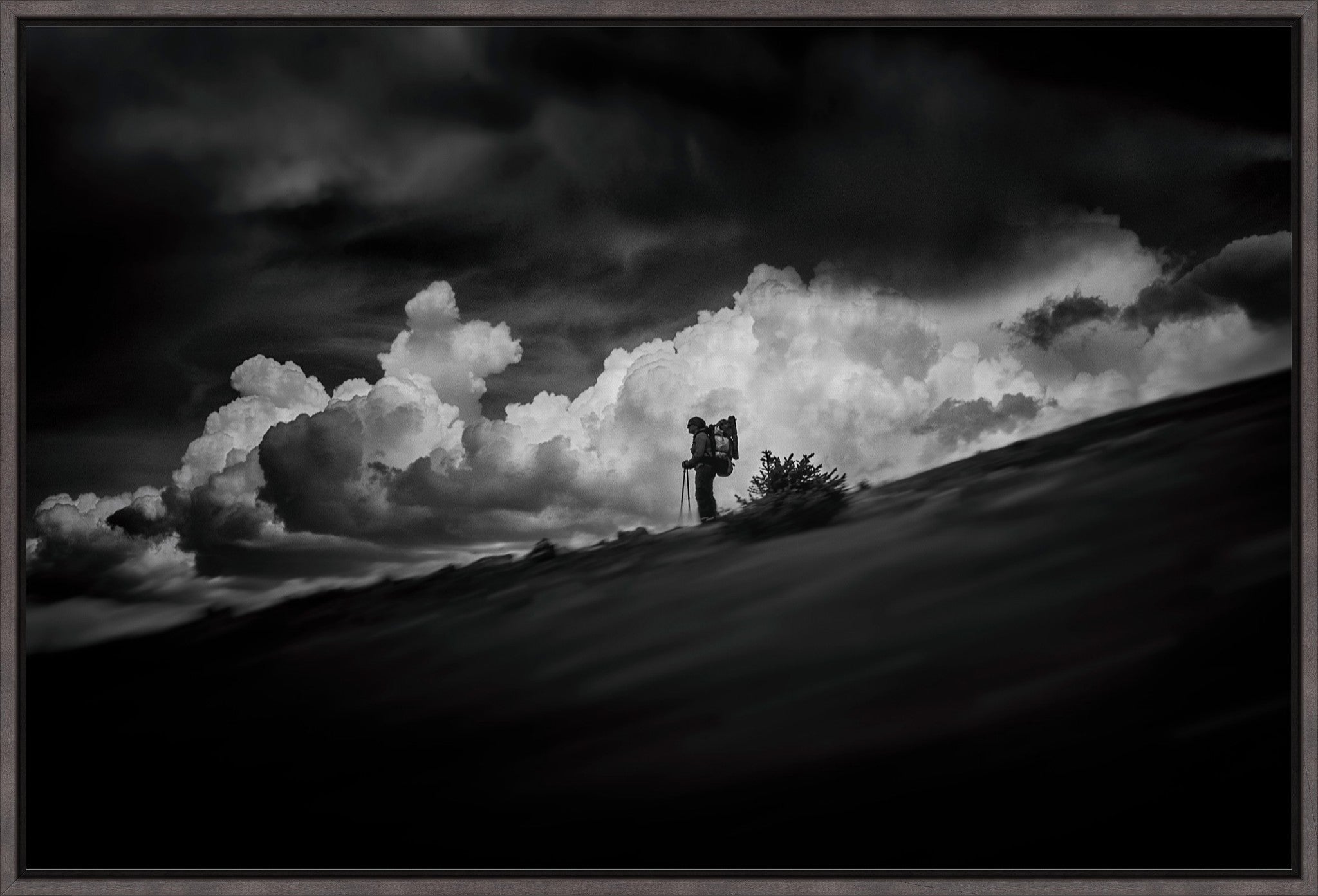 The Hiker