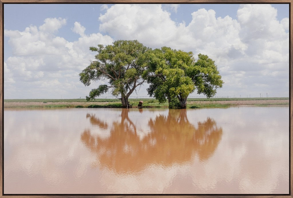 Soft Reflections
