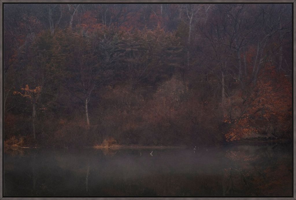 Foggy Winter Woods and Lake