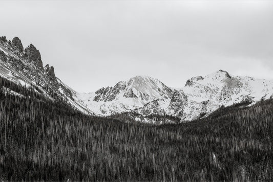 Monochrome Winter Mountains & Pines