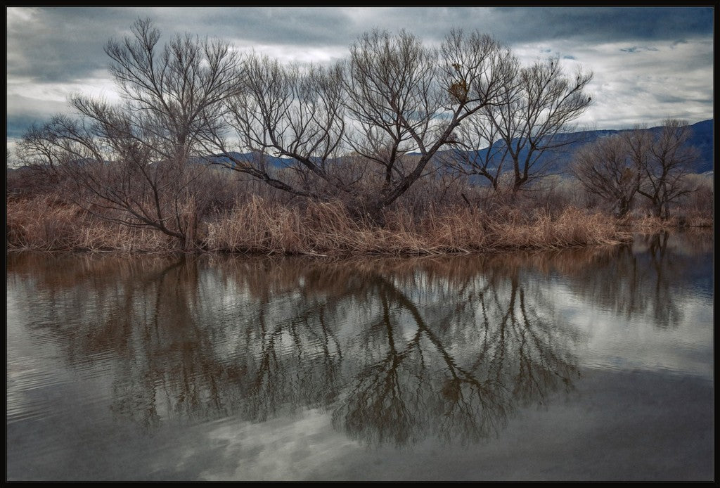 Dead Horse Reflections