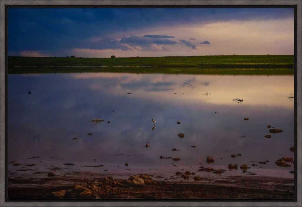 Muleshoe Reflections I