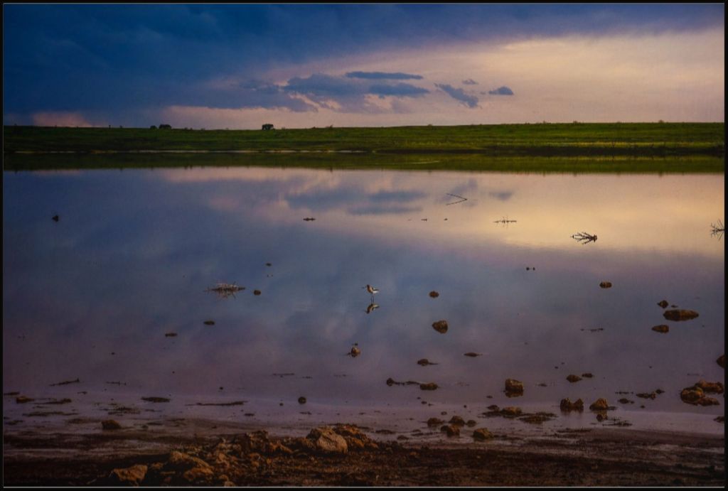 Muleshoe Reflections I