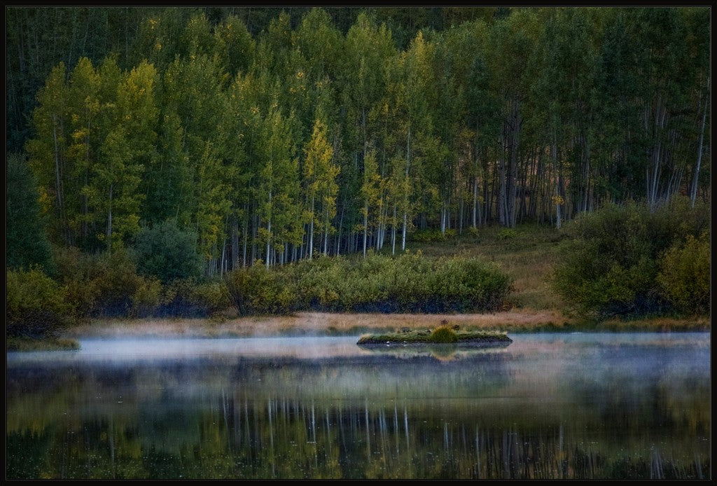 Misty Lake and Island