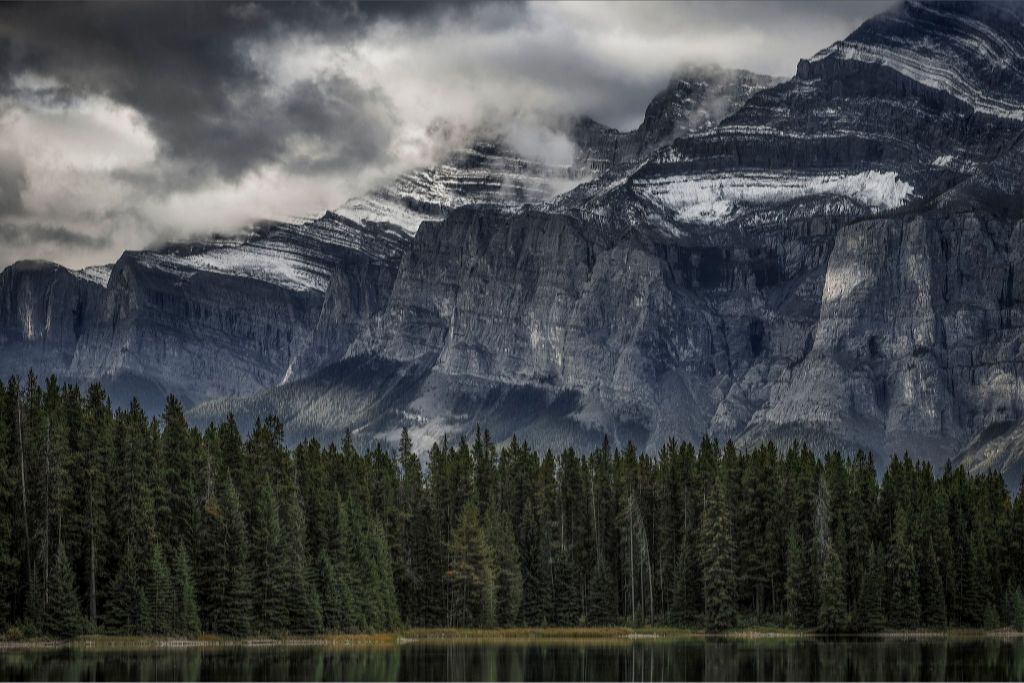 Green Forest and Mountain