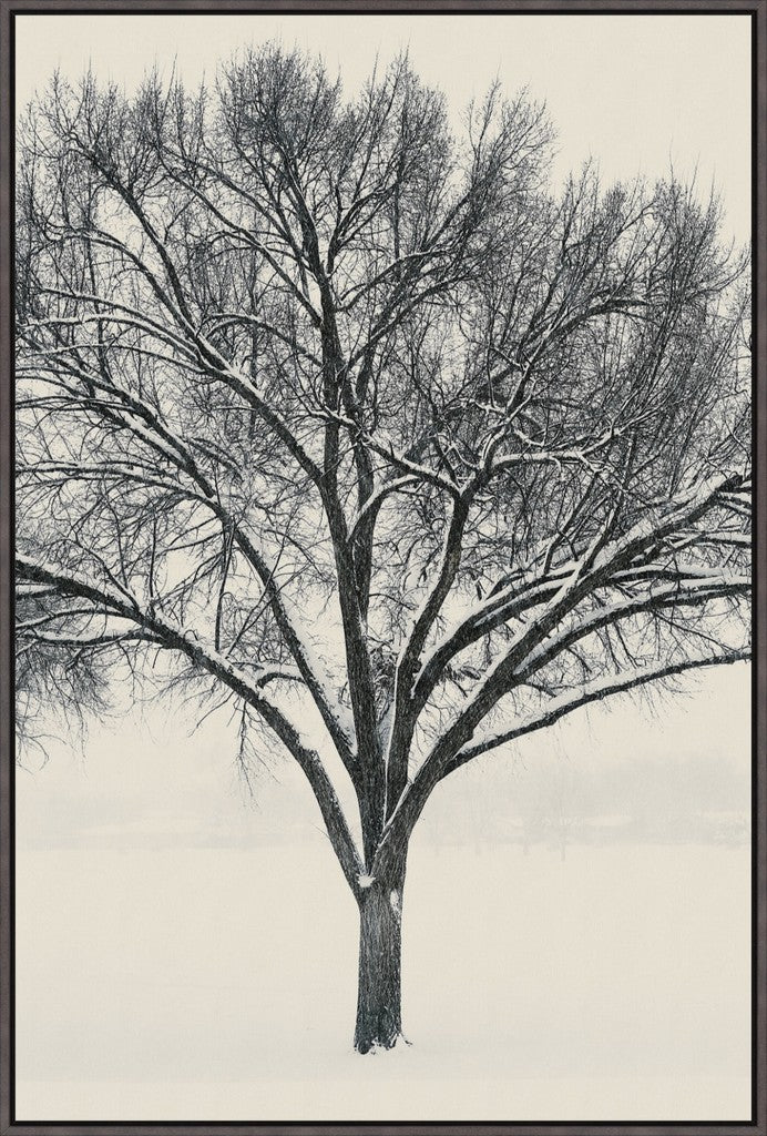 Monochrome Tree in Snow I
