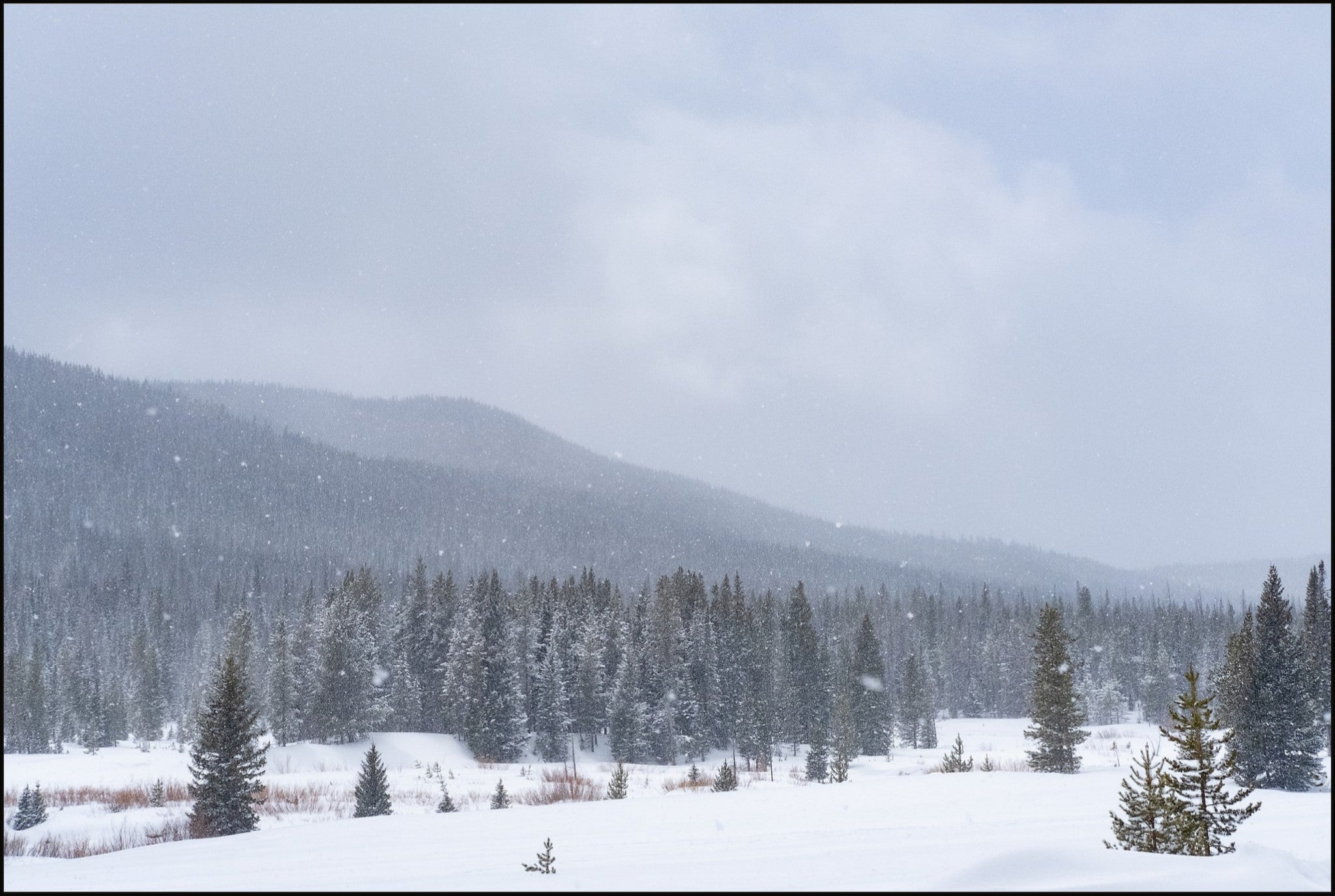 Late Winter Snowfall