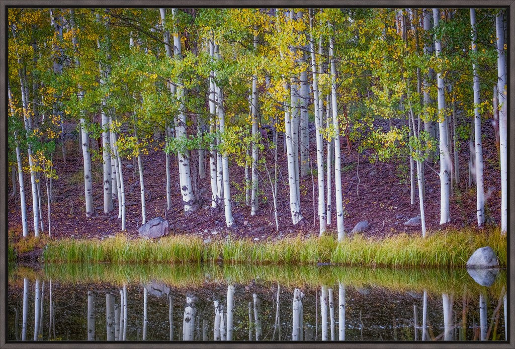 Fall Reflections