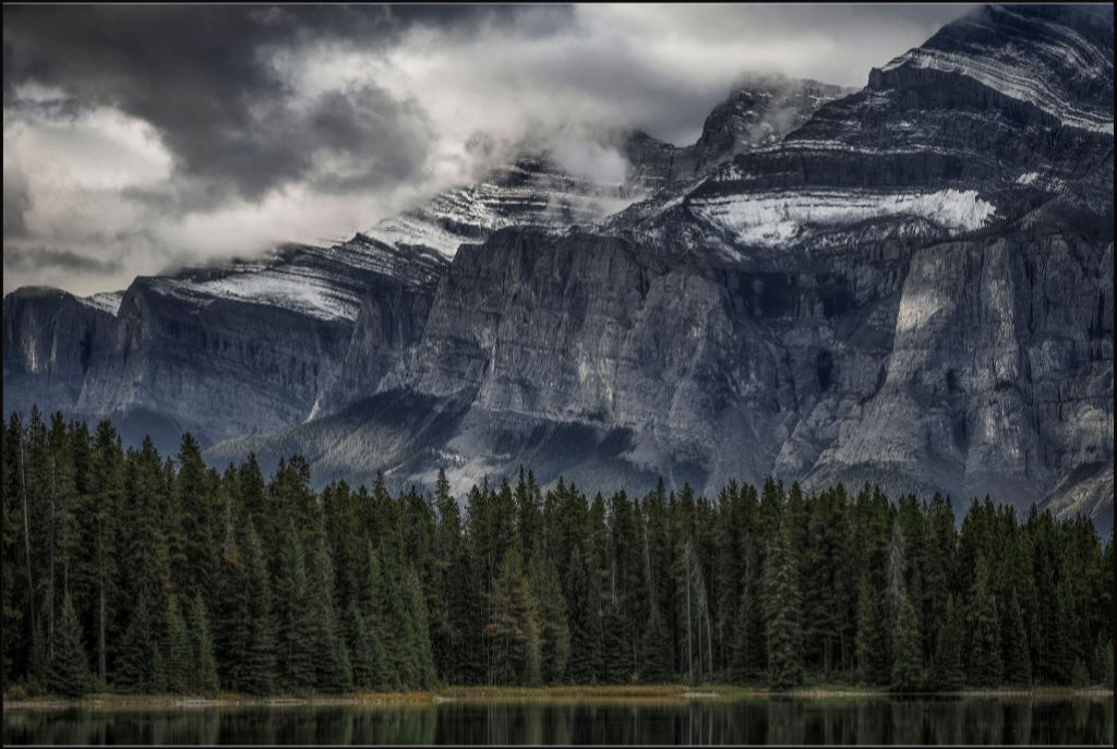 Green Forest and Mountain
