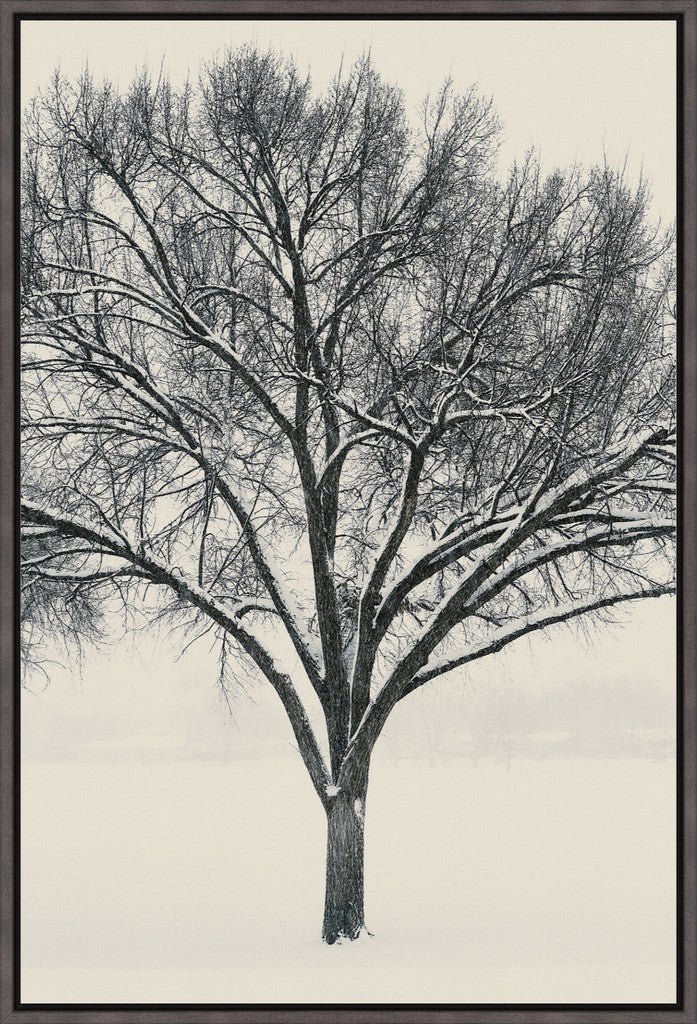 Monochrome Tree in Snow I
