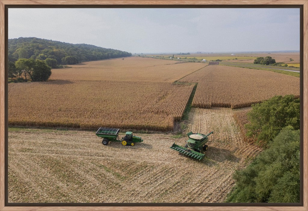 Aerial Corn Harvest I