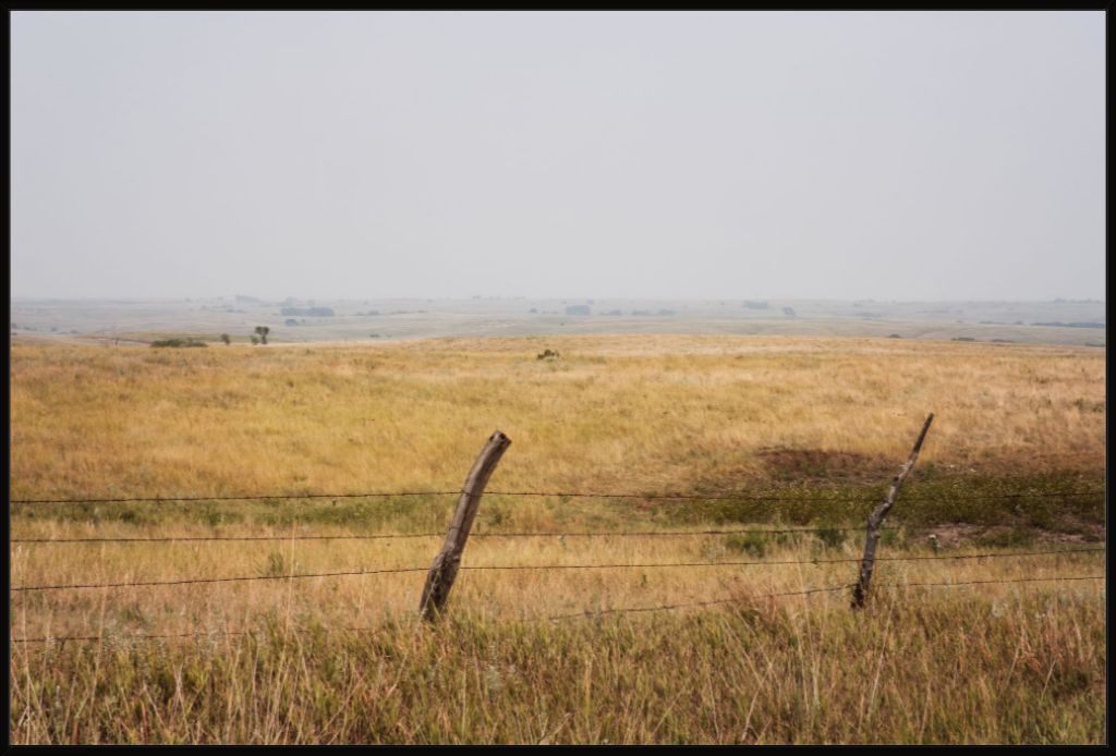 Southern Great Plains Grassland
