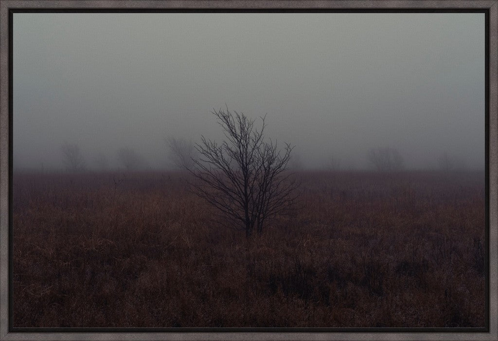 West Texas Winter Fog - 1
