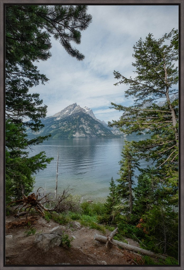 Montana Mountain View