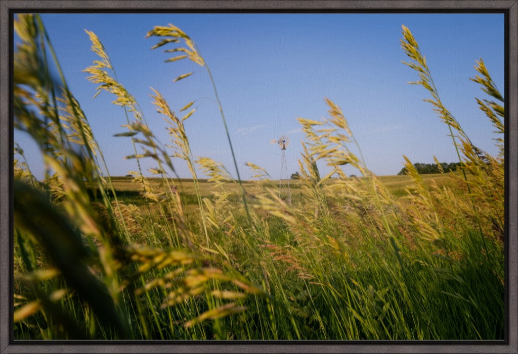 Historic Windmill and Prairie Grass
