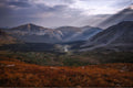 Light in the Valley