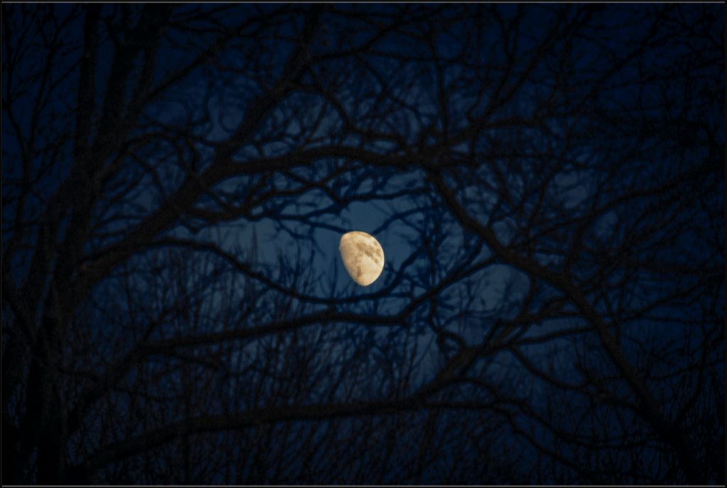 Waxing Gibbous